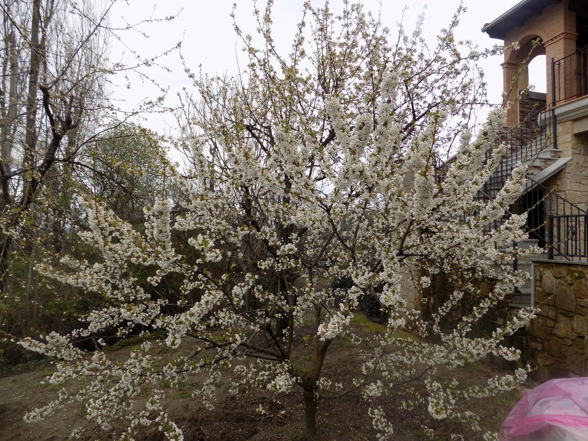 Casa Rural Generoso Madronal 외부 사진